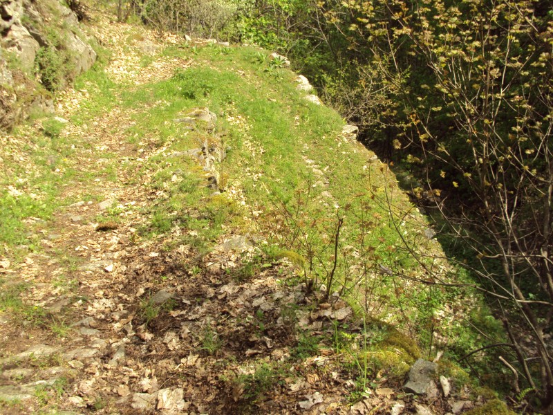 chemin : puis le chemin s elargit