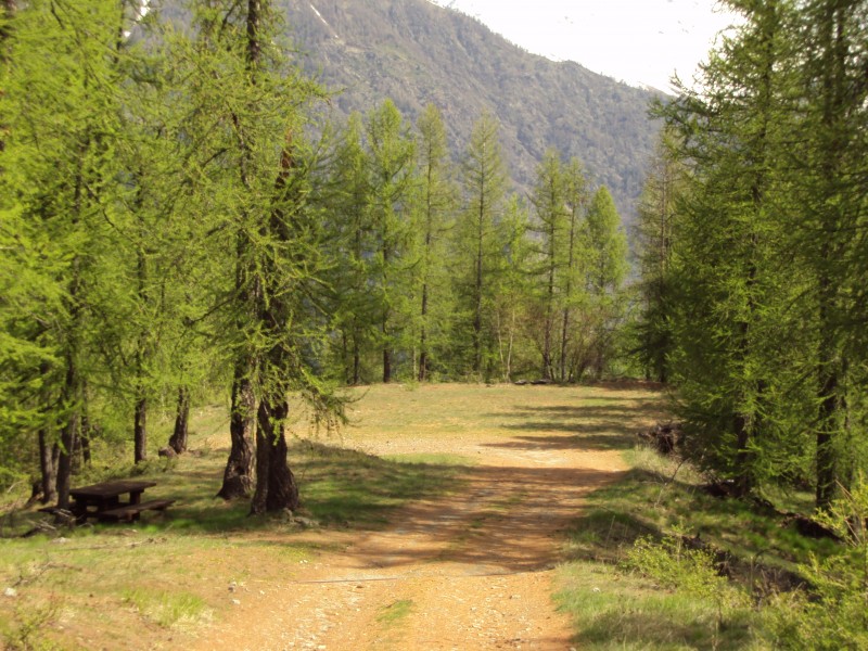 le serre : plateau du serre avec table de picnica l ombre