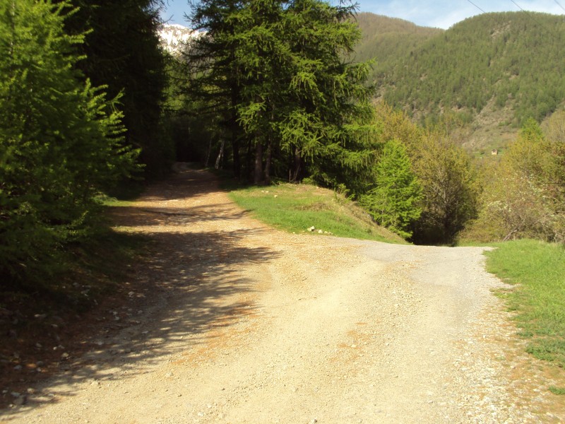 montee : piste vers le serre
