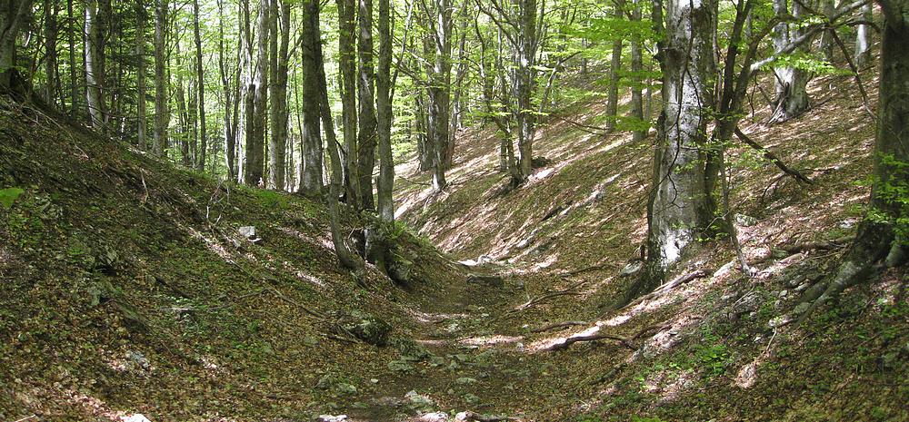 #15 Sentier de la Grande Combe : Joli départ Sentier de la Grande Combe : Joli départ