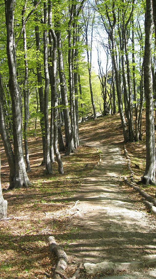 #8 Sentier plus propre : tu meurs Sentier plus propre : tu meurs