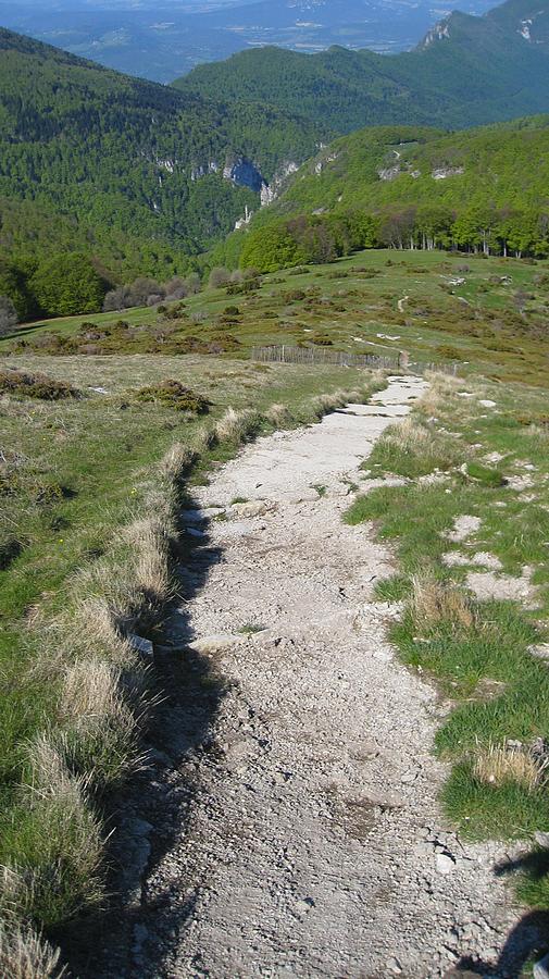 #7 Sentier très aménagé : avec portions en béton, marches... Sentier très aménagé : avec portions en béton, marches...