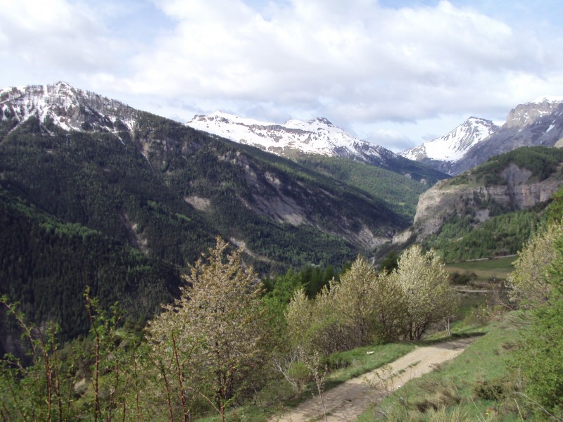 paysage : mont rion et  triboulet