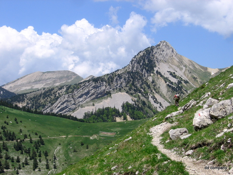 col de Seysse : Christophe déroule vers le col de Seysse (à droite). Au 1er plan, le col de Lachau (1484m) et le Mont Barral (1903m) en dernier plan.