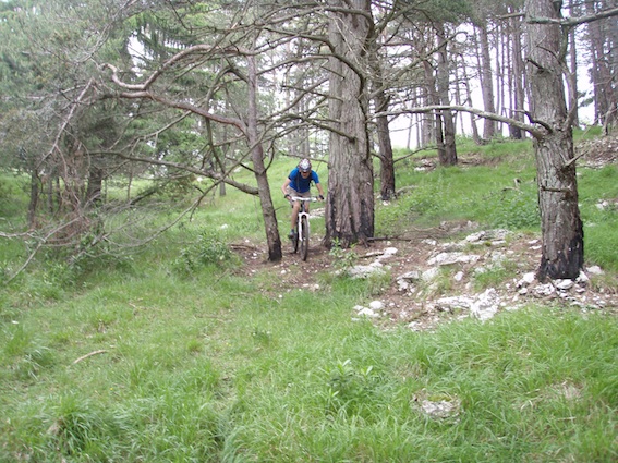 splendide passage en sous bois derrière