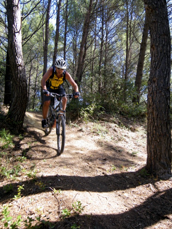 Nono : ...Y sont bien gros les piquets de slalom cette année!!