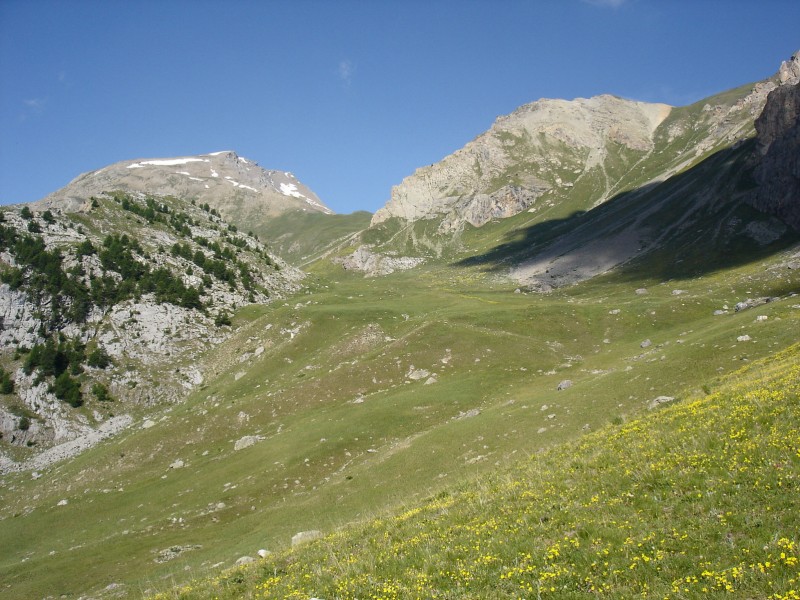 Fleurs : Col de Val Haute et Crête de Rougnoux