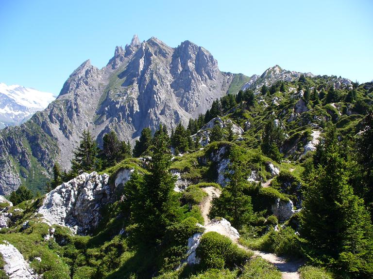 Crête du Mont Charvet : Carte Postale
