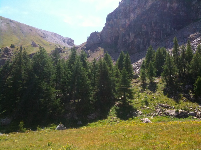 Vue sur le col des Thuiles : Vue sur le col des Thuiles, on vient de la haut
