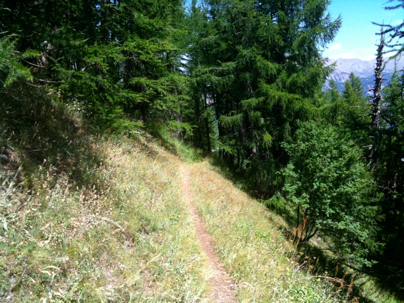 Single et mélèzes : On continue à descende vers les mélèzes