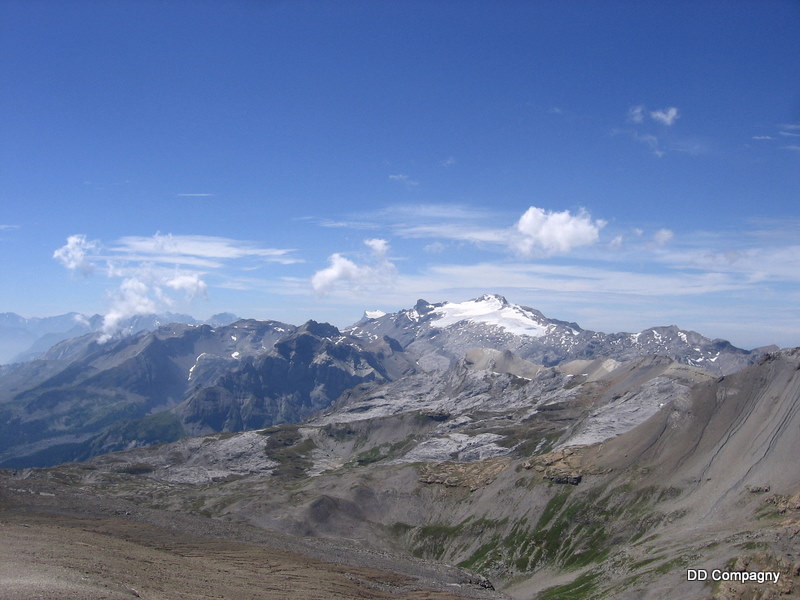 Wildhorn (3248m) : Et les Diablerets sur la gauche du Wildhorn