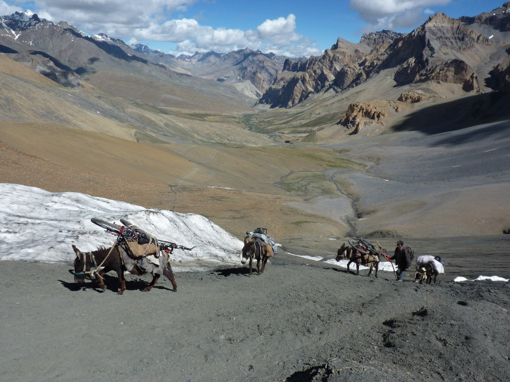 Senge La : Les vélos arrivent (sur les ânes) au Senge La (4970 m)