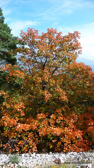 Ventoux : l'automne arrive...