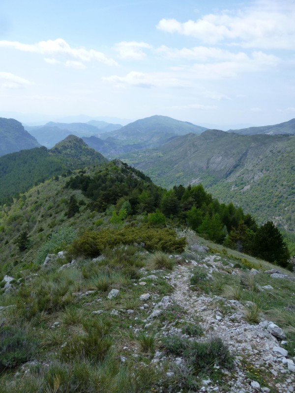 Crête de Pierre-Mont : Aller encore un peu avant un final virevoltant et joueur dans un bois de rêve...