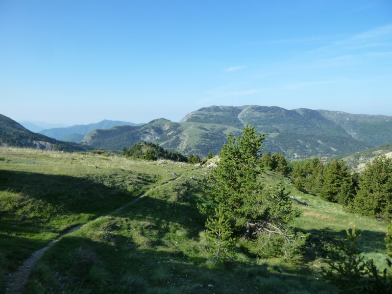 Vers le col la Croix de Veyre : roulage très agréable...