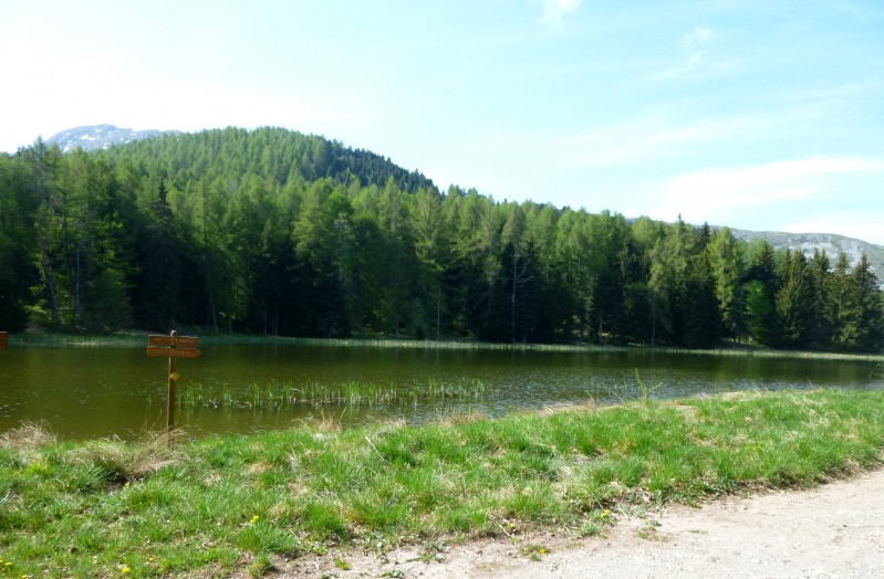 Lac-étang.. des Monges : juste après une somptueuse forêt de hêtres ..