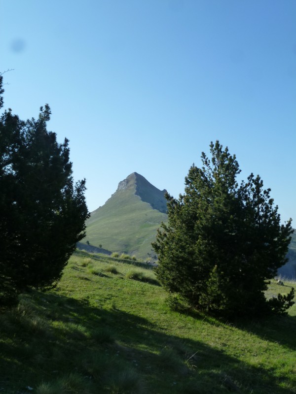 Vers le col la Croix de Veyre : La petite Cloche, me glisse-ton dans l'oreille ;-)