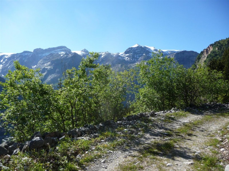 Petit Mont Blanc : Ca commence par une piste et un grand ciel bleu !