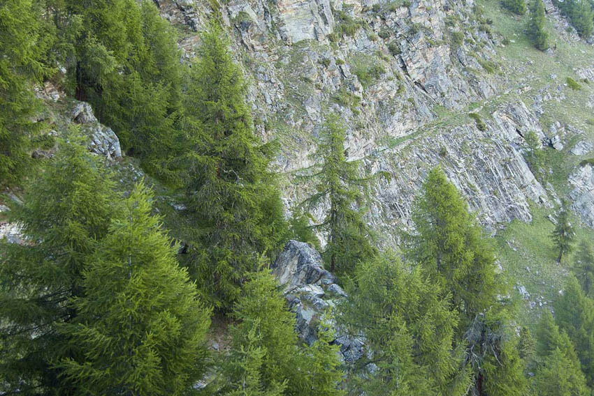 #29 Mattertal : La vire empruntée par le sentier Mattertal : La vire empruntée par le sentier