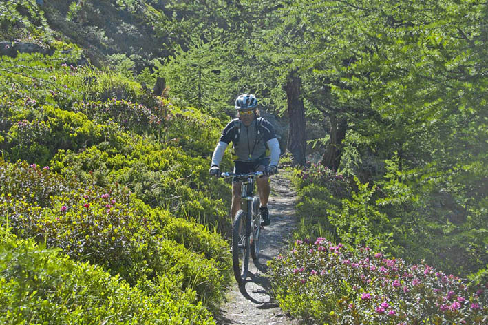 #17 Mattertal : Début du sentier vers Jungu Mattertal : Début du sentier vers Jungu
