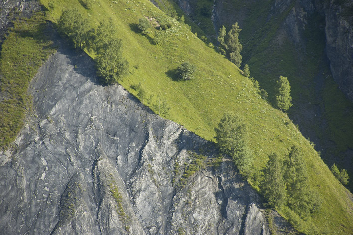 #4 Vallon des Encombres : Equilibre précaire Vallon des Encombres : Equilibre précaire