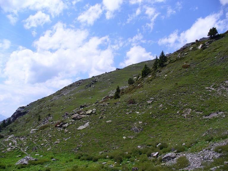 Notre Dame des Neiges : Panorama