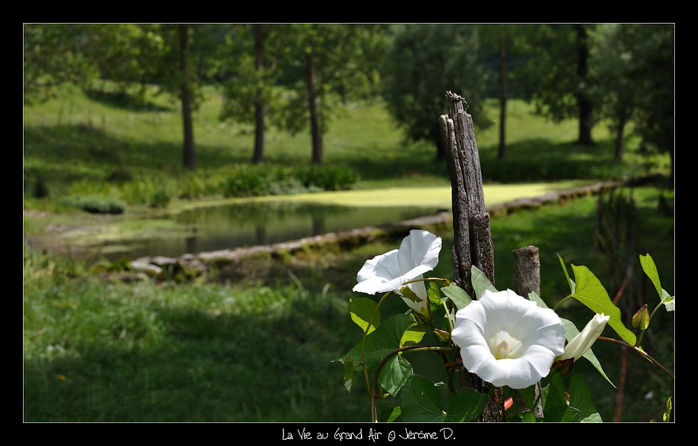 reposant le décor...