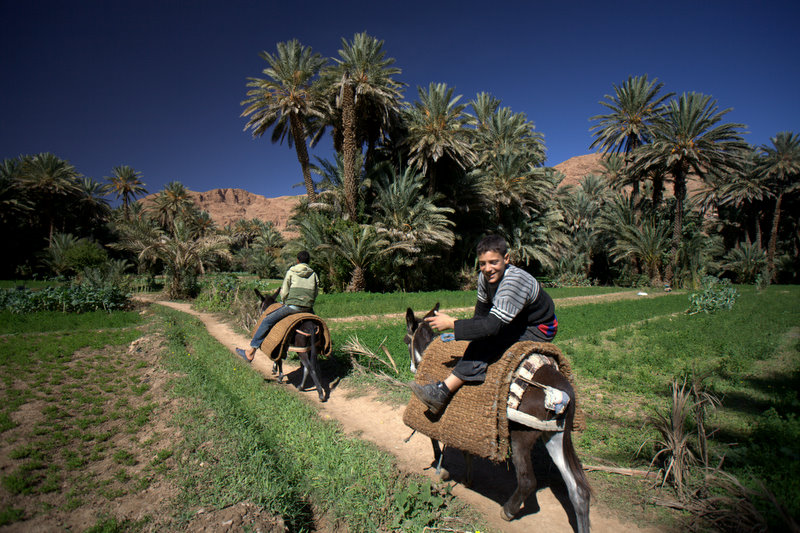 Tinerhir : dernier pique-nique dans la palmeraie avant de prendre le bus pour Ouarzazate