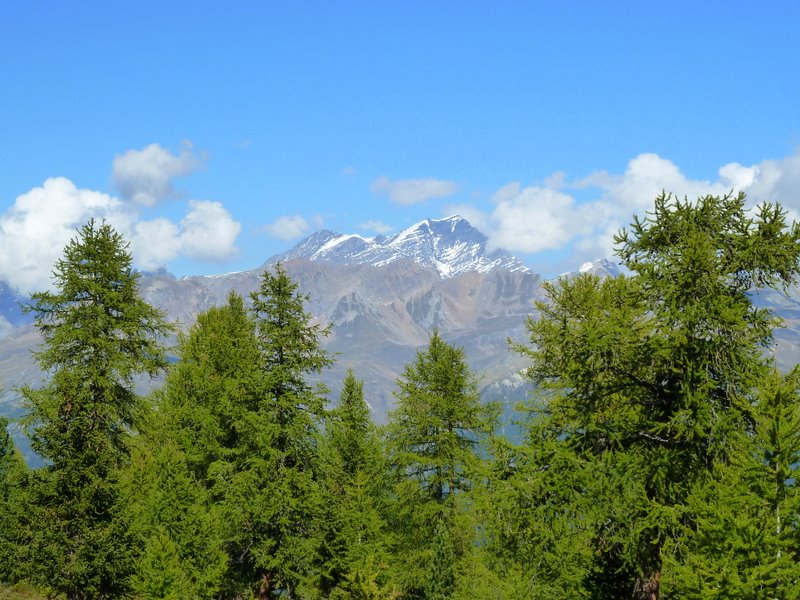 Balmhorn : Balmhorn de l'autre coté de la vallée du Rhône