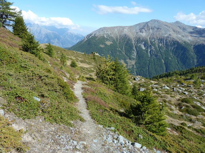 Emshorn : Belles couleurs