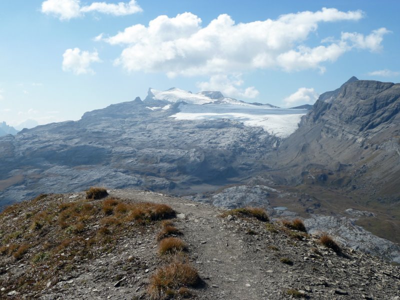 Diablerets : Disblerets et glacier de Tsanfleuron