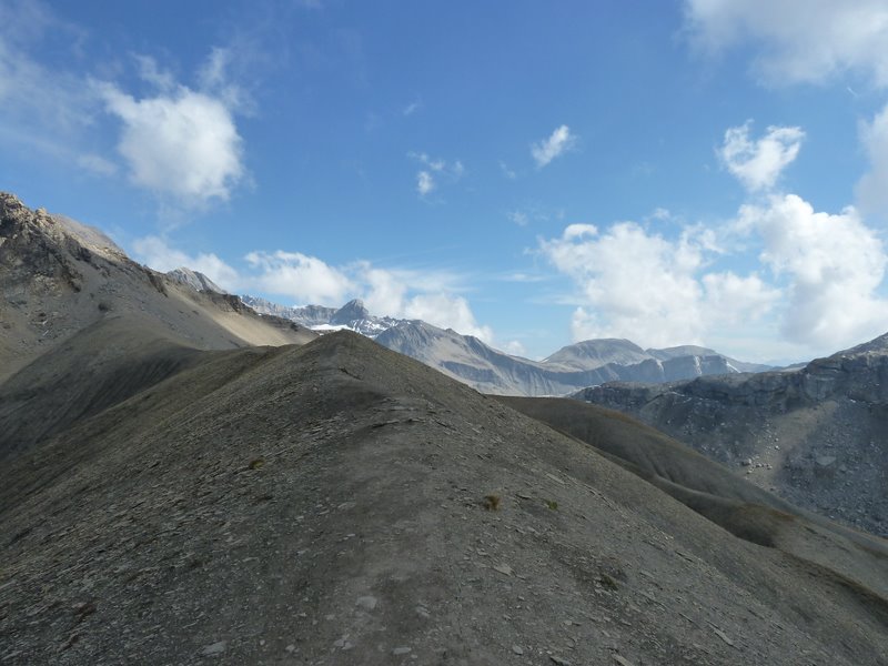 Arête de l'Arpille : Le Wildhorn au fond