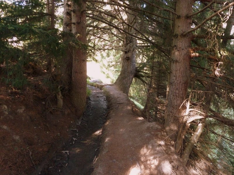 Petit Bisse : Passage forestier