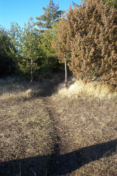 Premier replat : Sentier très ludique