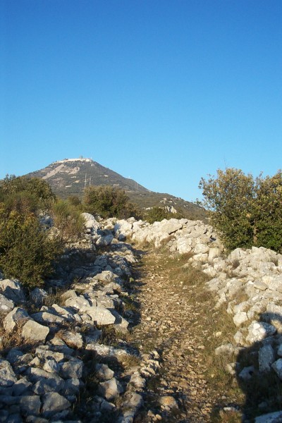 Mont Agel : Le maître des lieux : Le Mont Agel