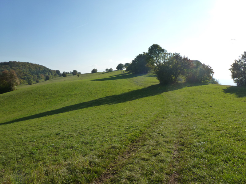 Montagne de Cessens : dans la traversée de la Montagne de Cessens