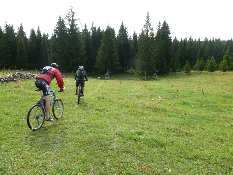 #4 entrée dans la forêt : après Chaumeau entrée dans la forêt : après Chaumeau