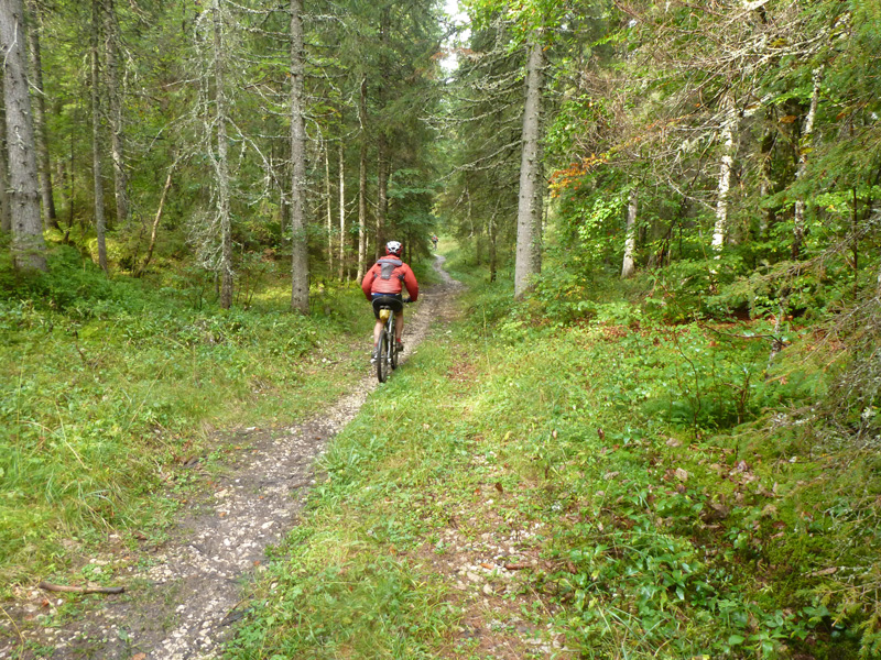 #5 Yopa sur le chemin du facteur : entre Chaumeau et les Prés Hauts Yopa sur le chemin du facteur : entre Chaumeau et les Prés Hauts