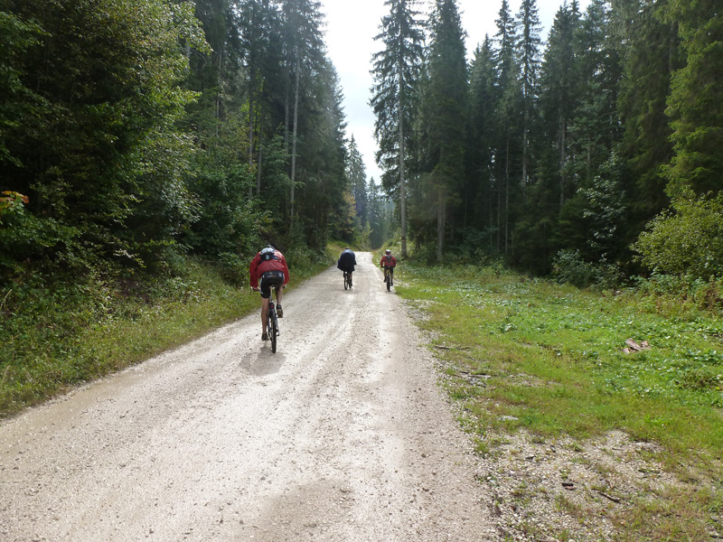 #2 sur la piste de la GTJ : peu avant la Norbière sur la piste de la GTJ : peu avant la Norbière