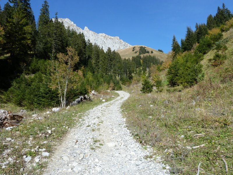 Cornettes de Bise : Bonne piste du Chablais