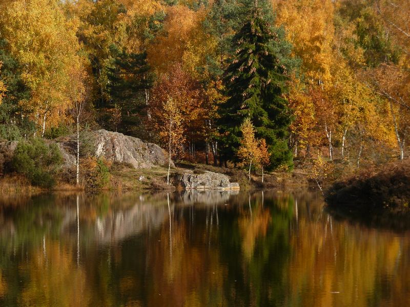 #6 1000 Etangs : Reflets 1000 Etangs : Reflets