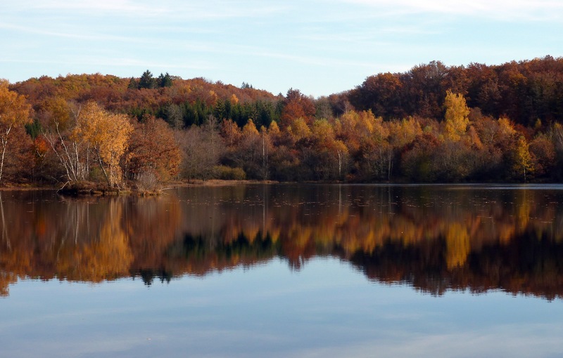 #2 1000 Etangs : Miroir 1000 Etangs : Miroir