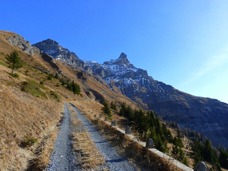 #4 Dt de Morcles : Après 1800 m de montée non stop on touche au but. Dt de Morcles : Après 1800 m de montée non stop on touche au but.