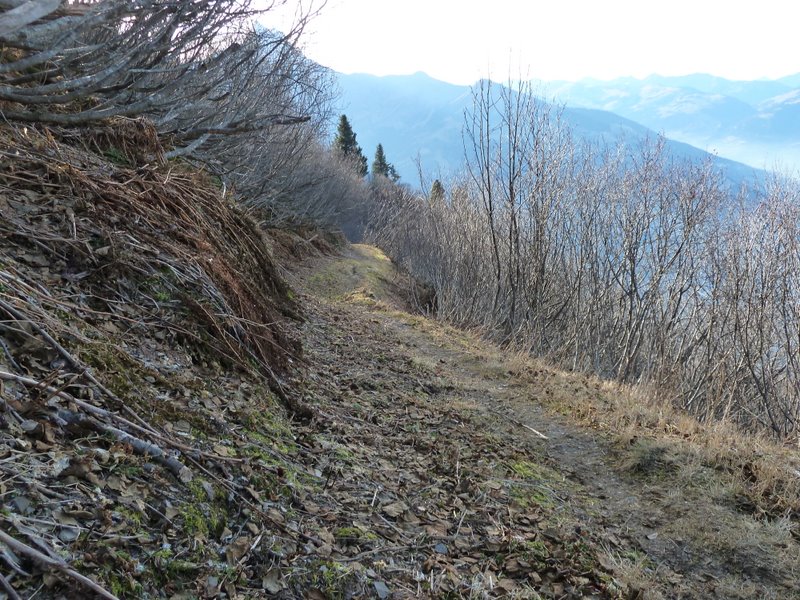 #12 Croix de Javerne : Sentier en face NW heureusement bien nettoyé Croix de Javerne : Sentier en face NW heureusement bien nettoyé