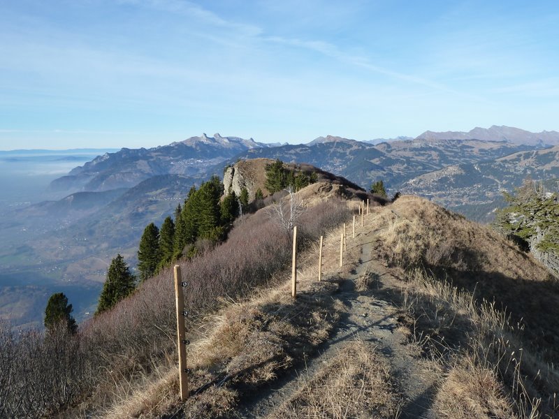 #11 Croix de Javerne : Descente sur son arête N Croix de Javerne : Descente sur son arête N