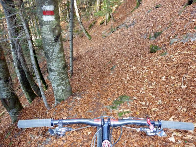 #13 Croix de Javerne : Gros tapis de feuilles mortes par endroits Croix de Javerne : Gros tapis de feuilles mortes par endroits