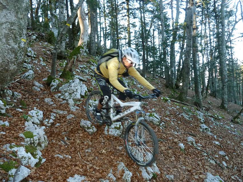 Roche Veyrand, descente : Feuilles et calcaire