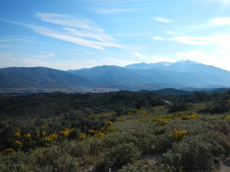 La Canigou : Samedi Soir