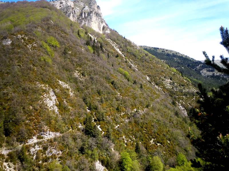 Gorges de Vallauris : joli sentier en balcon