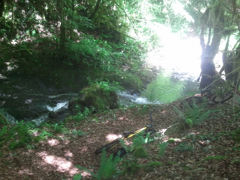 #8 photo 8 : Magnifique sentier en redescendant de la cascade de Planque. photo 8 : Magnifique sentier en redescendant de la cascade de Planque.